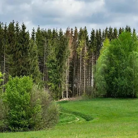 Vakantiehuis Premium In Buntenbock Clausthal-Zellerfeld